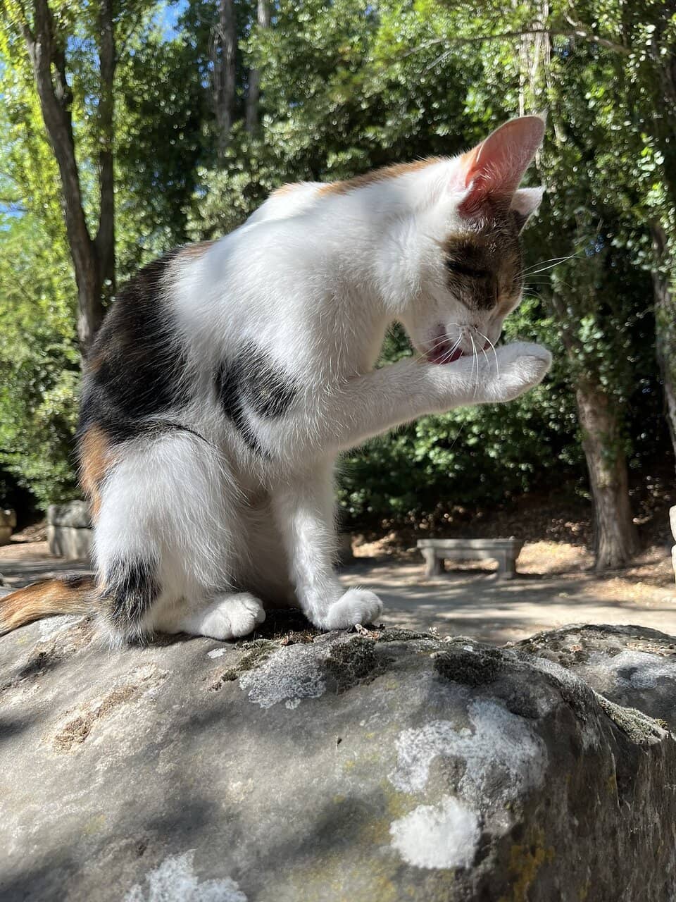 Avenue of Sarcophagi