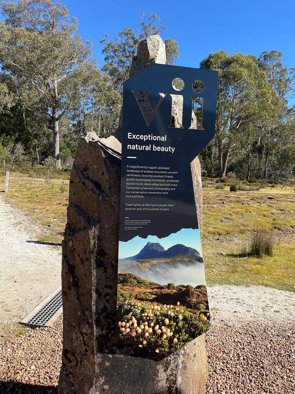 Cradle Mountain Summit