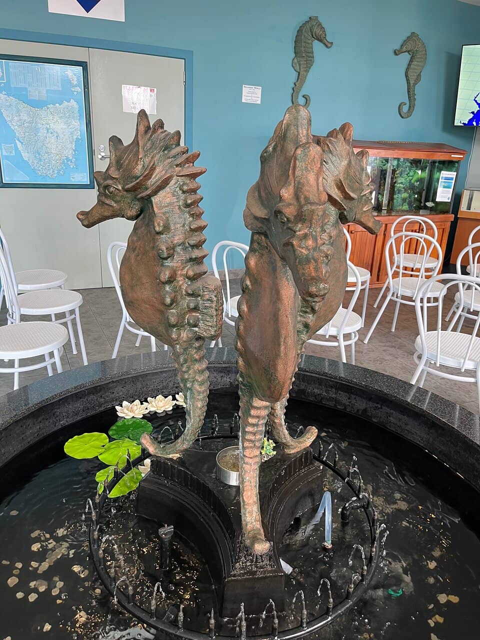 Baby Seahorses