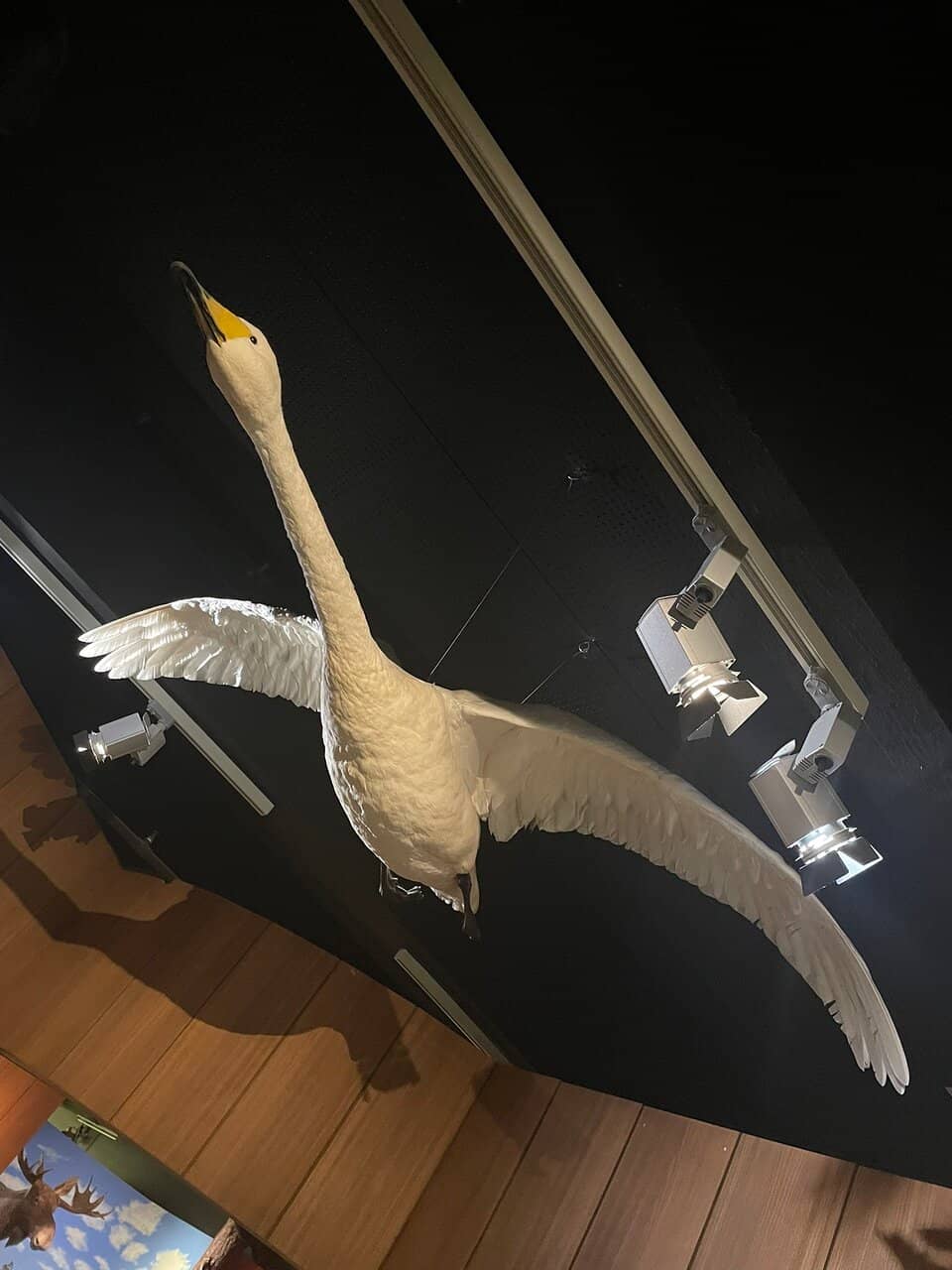 Superheroes Exhibition