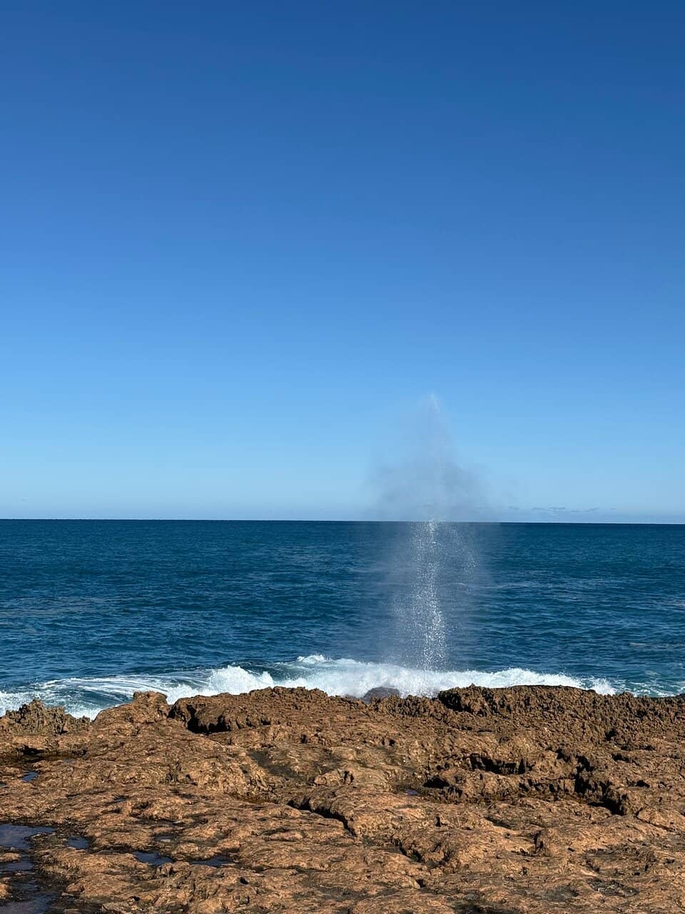Iconic 'King Waves Kill' Sign