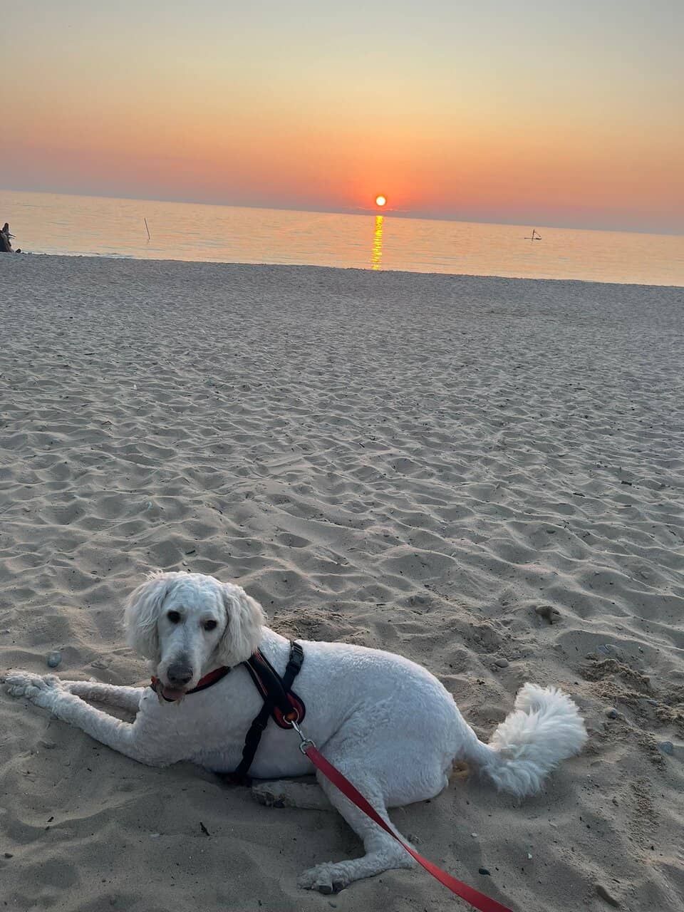 Crystal Clear Waters