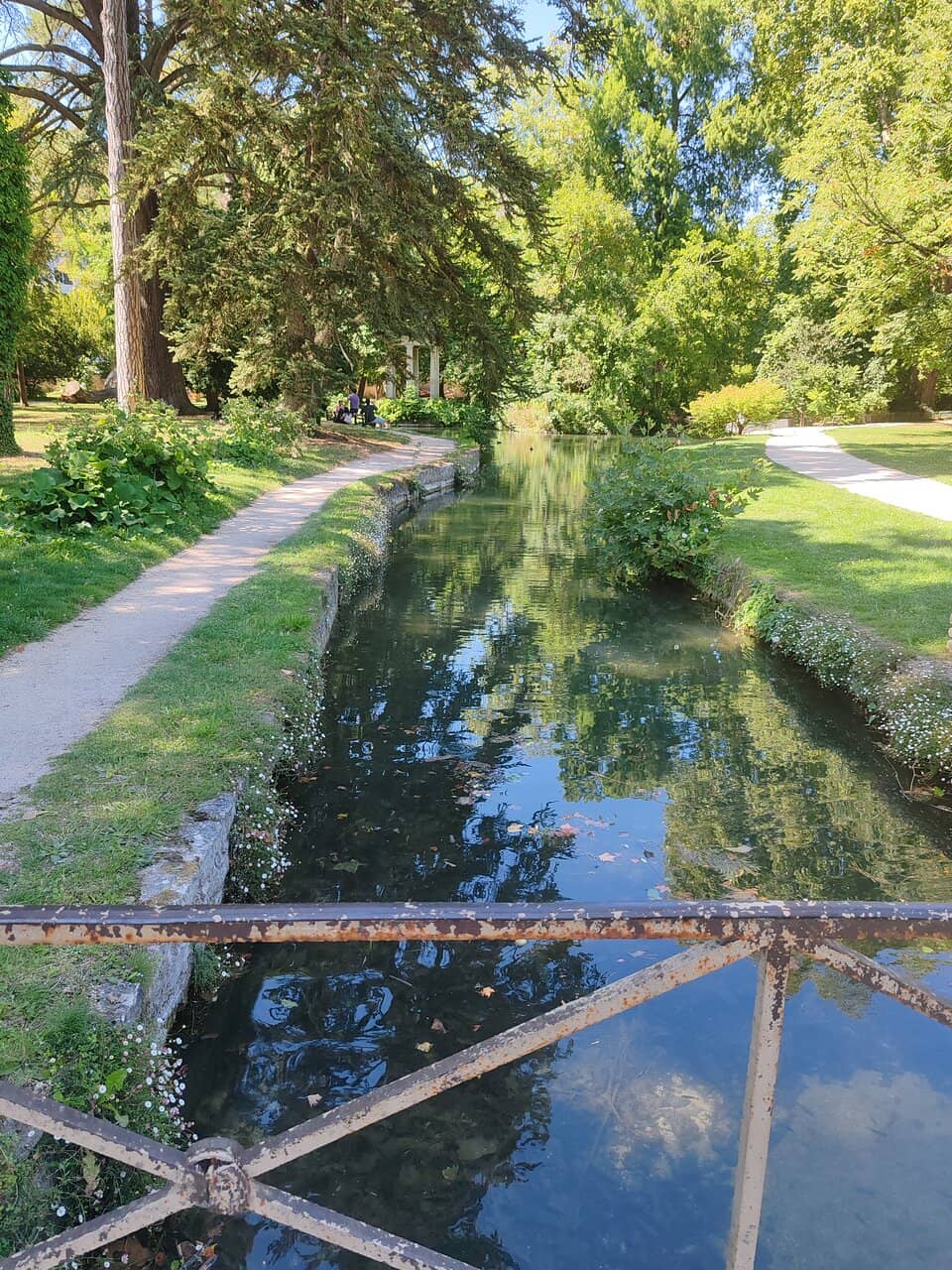 Diverse Botanical Collections