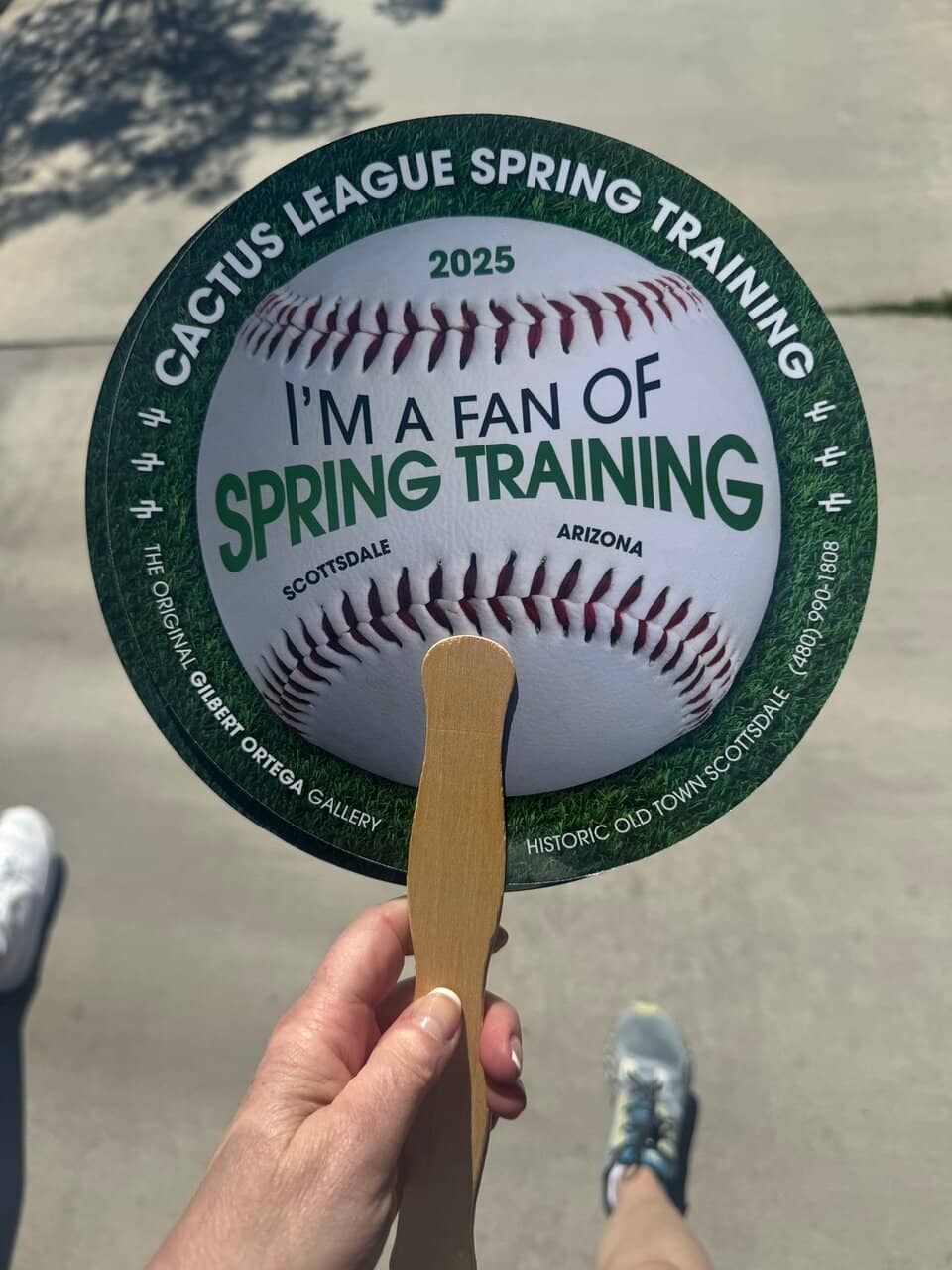 Chicago Cubs Spring Training Games
