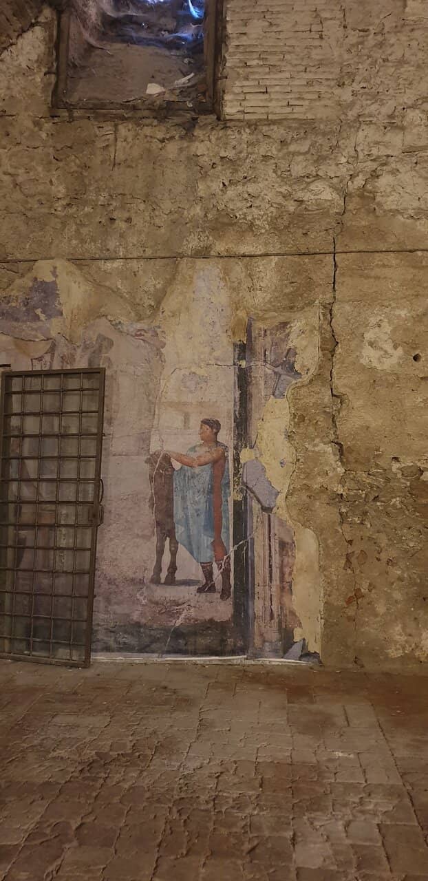 Expert-Led History Tours