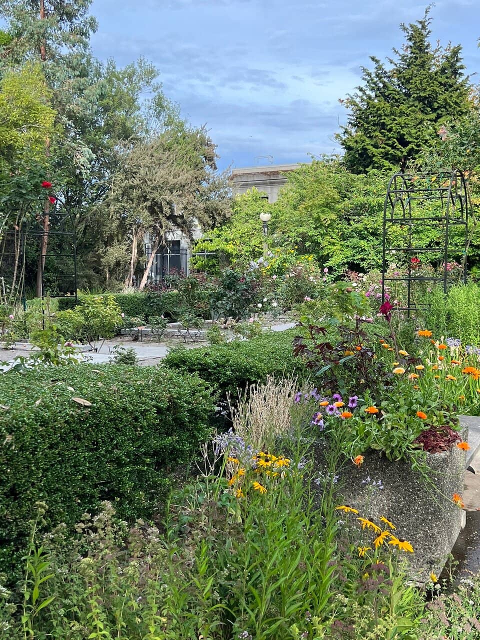 Salmon Ladder Observation