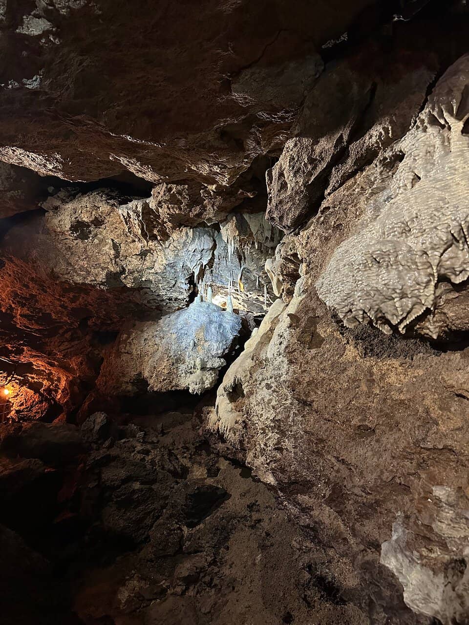 Guided Expedition Tours