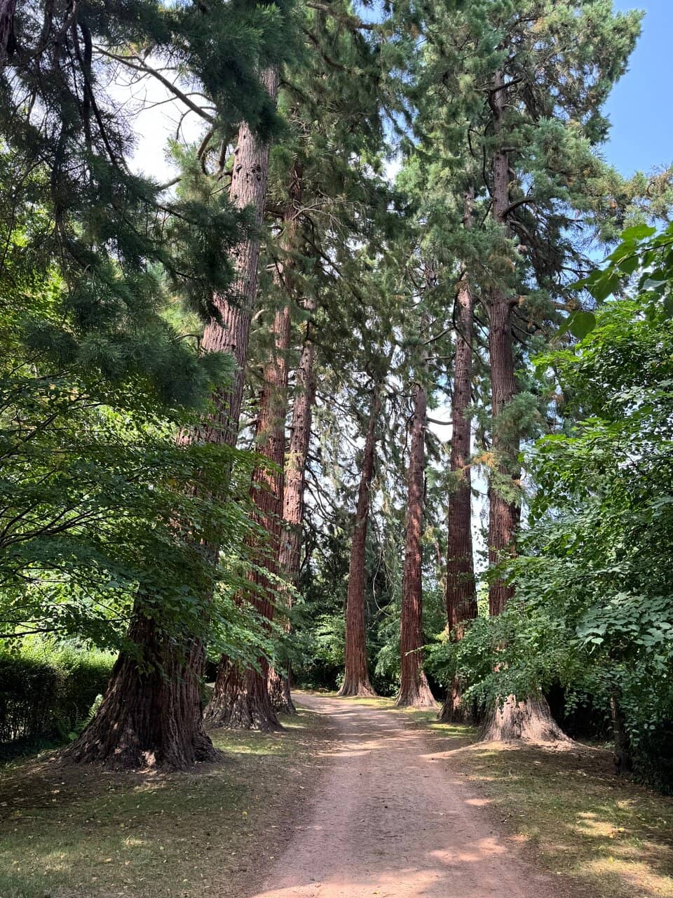 Intimate and Well-Kept Gardens