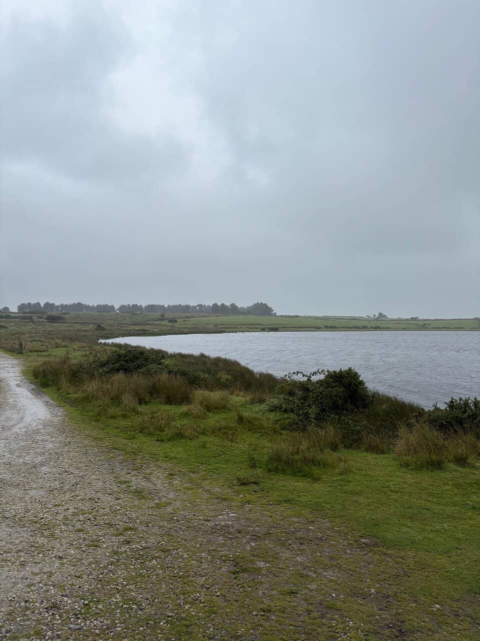 Mystical Foggy Atmosphere