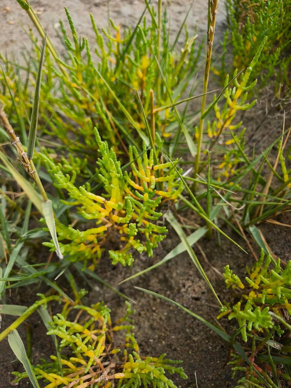 Tranquil Off-Peak Visits