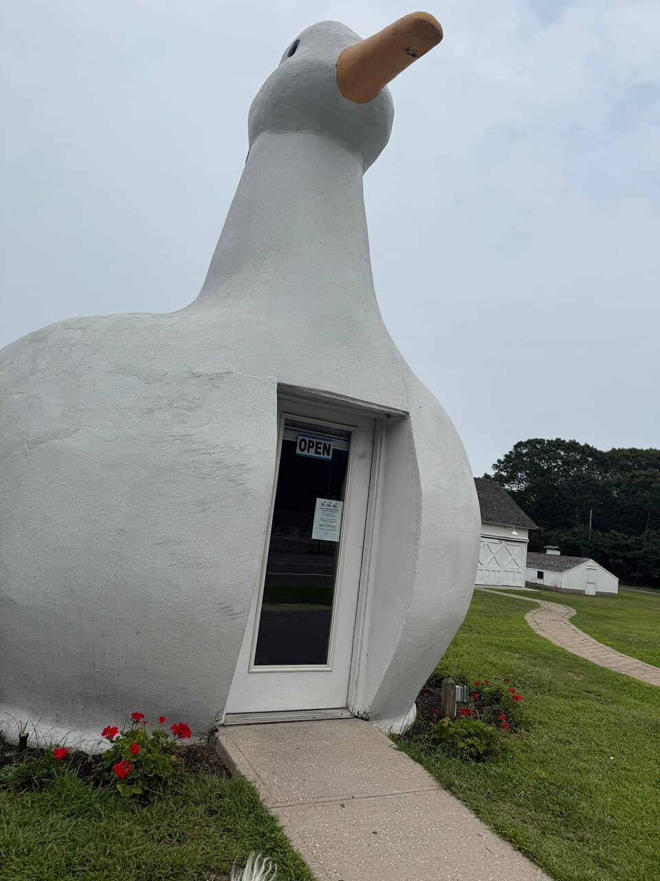 Inside the Duck Museum