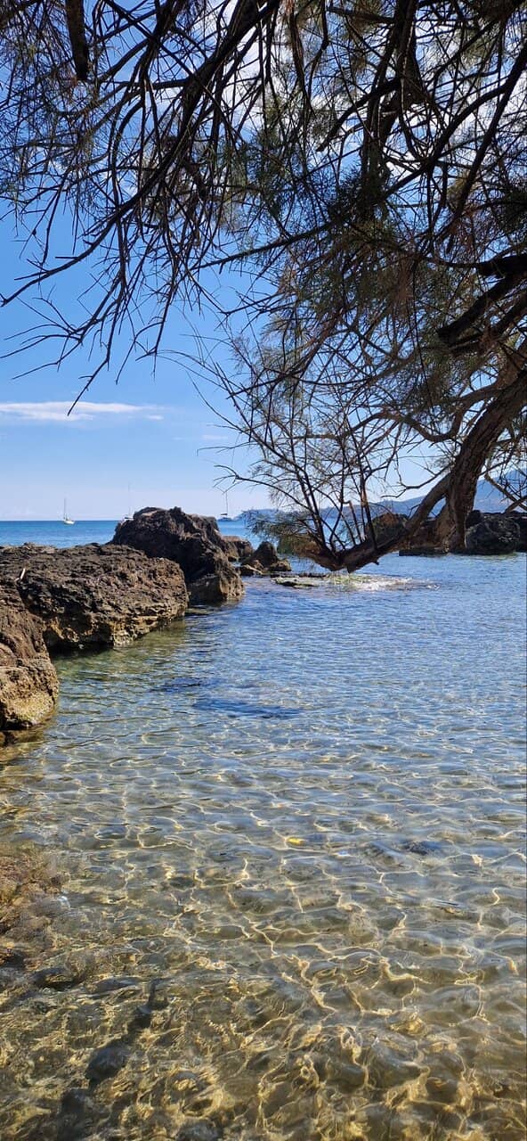 Beachfront Dining Experience