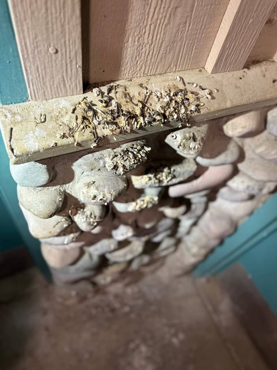 Hiker/Biker Campsites