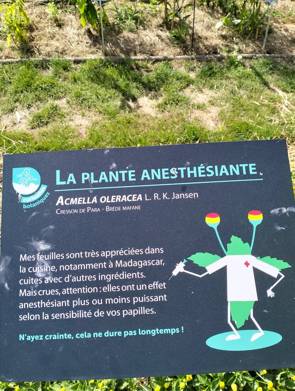 Themed Ecosystem Gardens