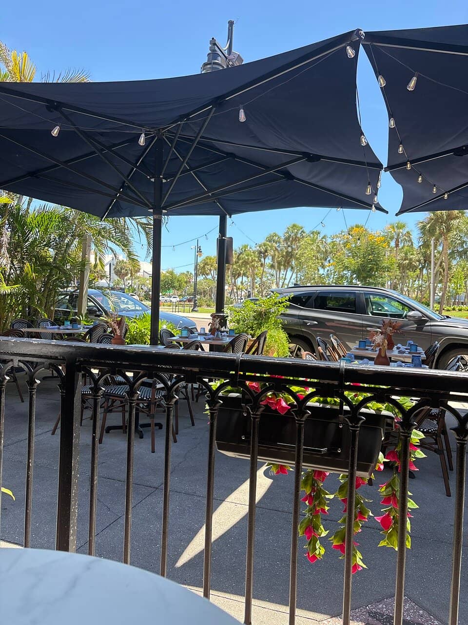 Live Music Entertainment