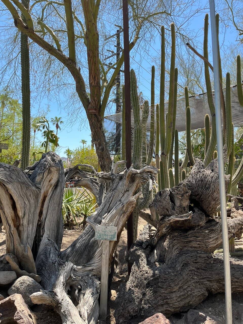 Desert Plant Diversity