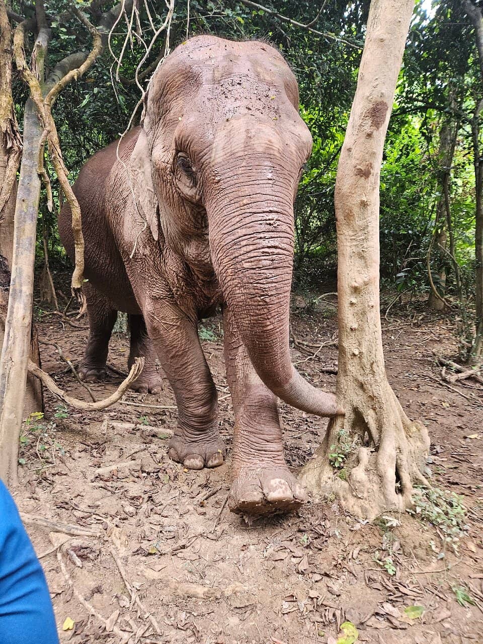 Delicious Local Lunch