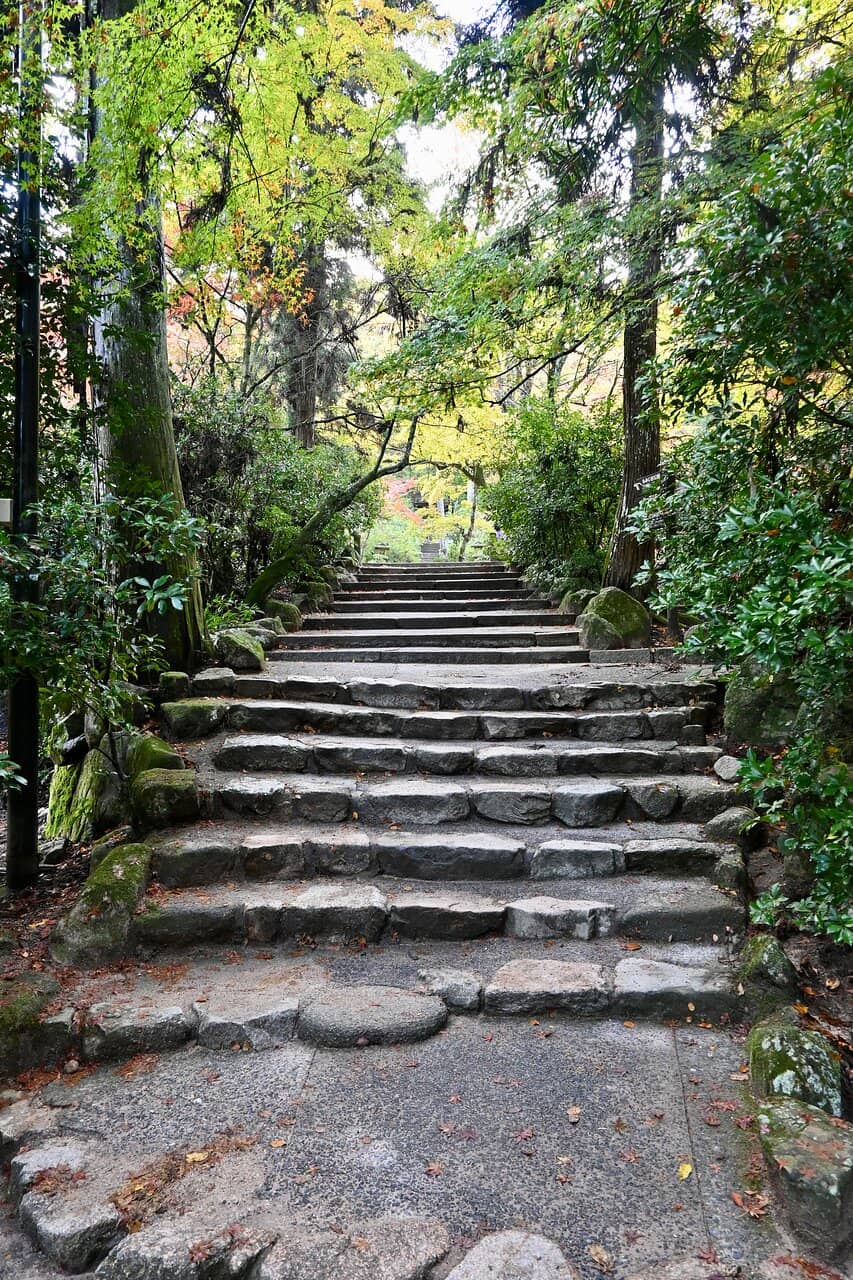 Autumn Maple Spectacle