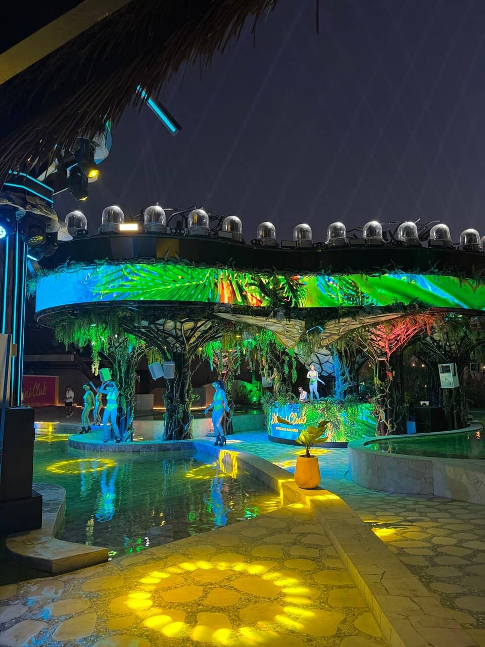 World-Class DJ Performances