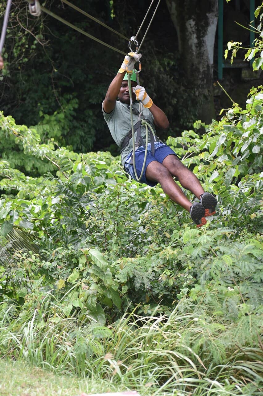 Meet the Rescue Cats