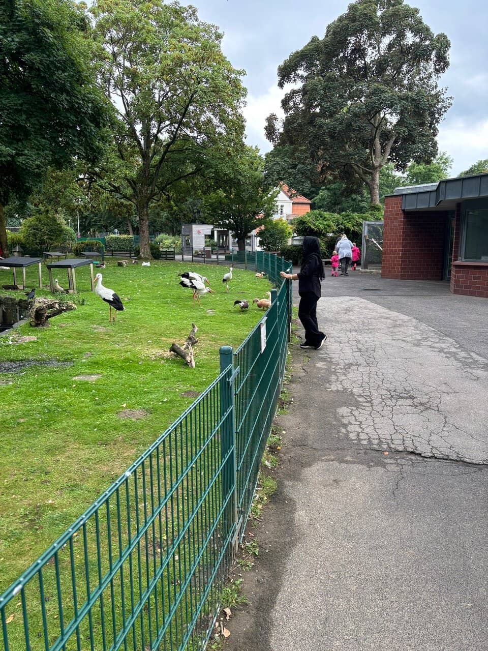 Diverse Small Animal Collection