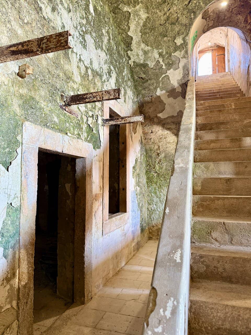 Vertical photo