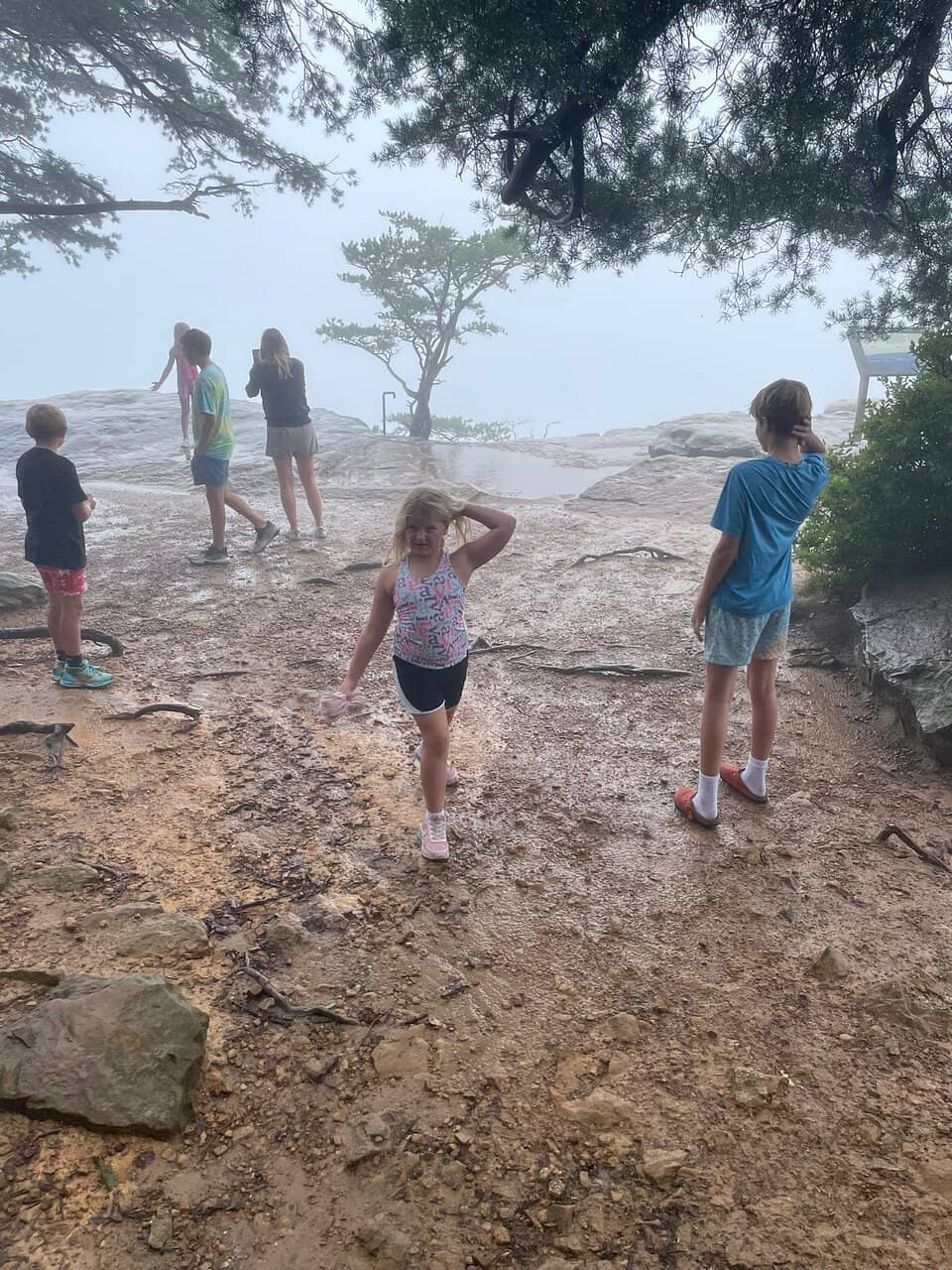 Panoramic Tennessee River Gorge View