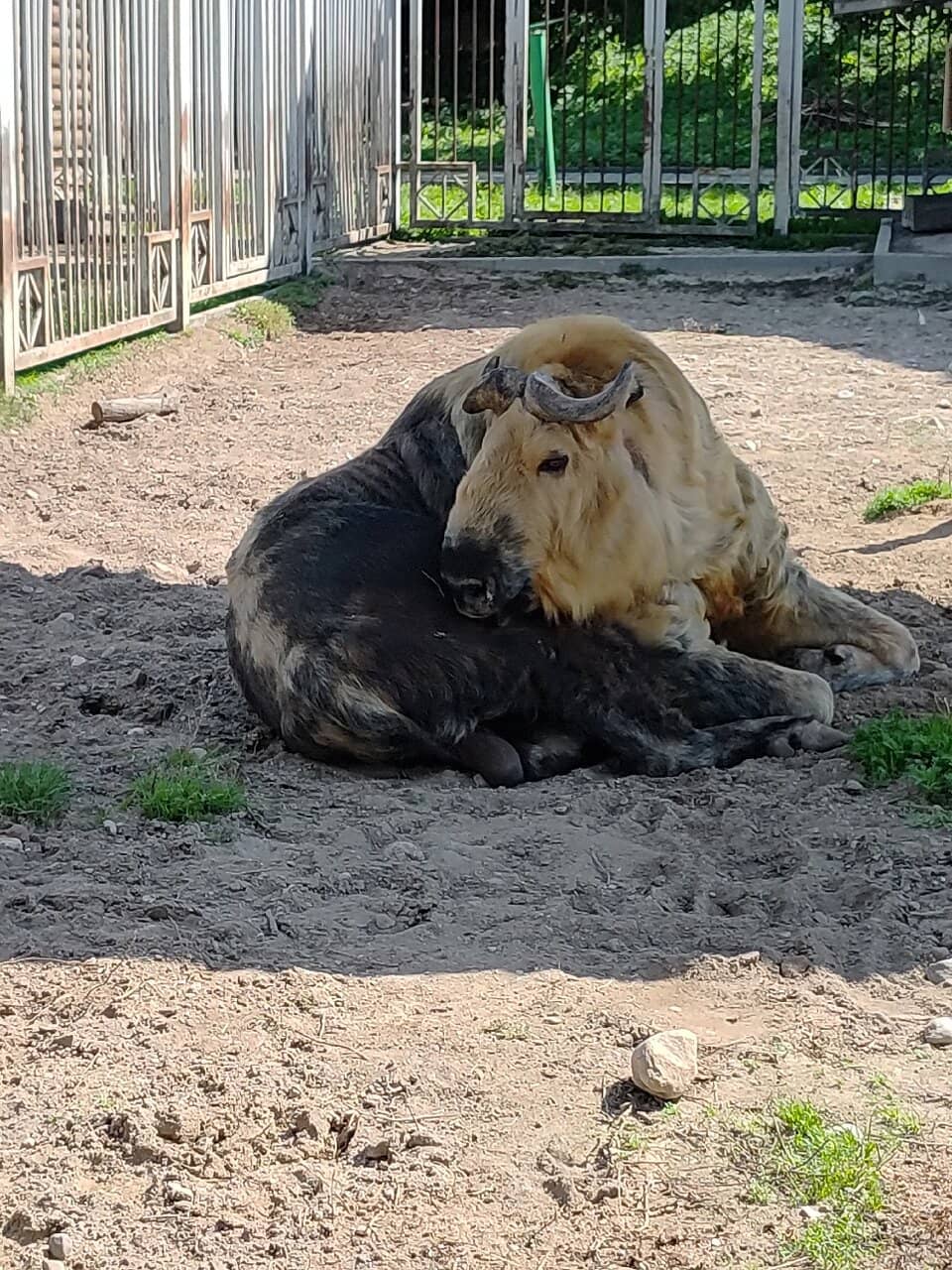 Terrarium and Aquarium