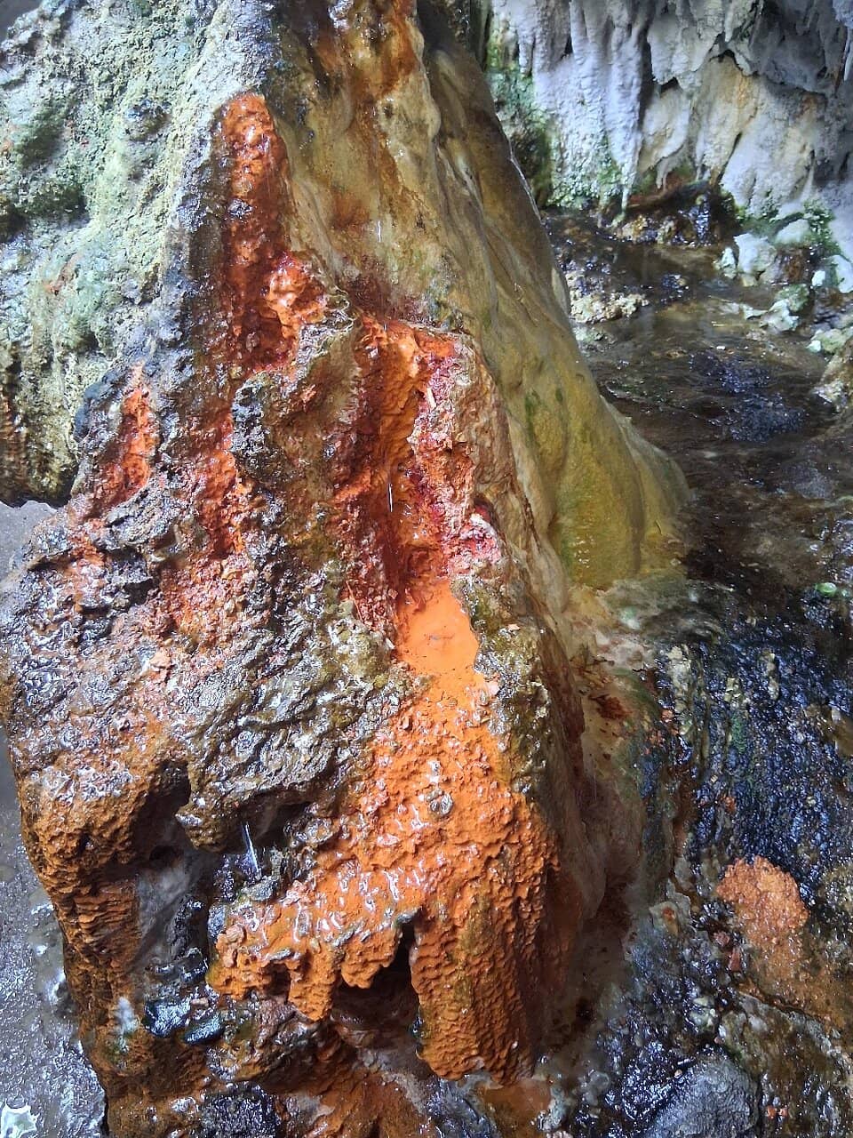 Warm Thermal Springs