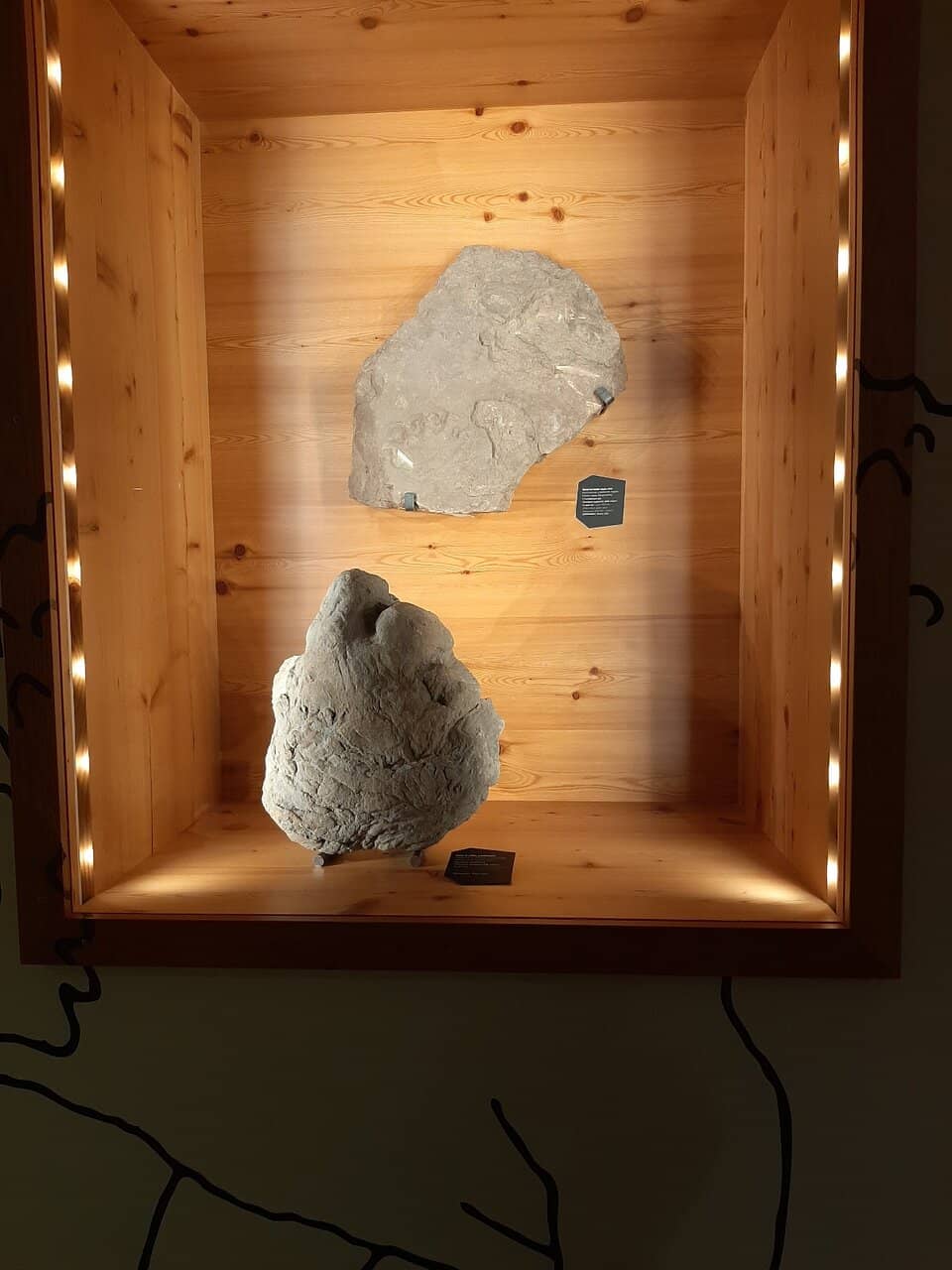 Local Wildlife & Ecosystems