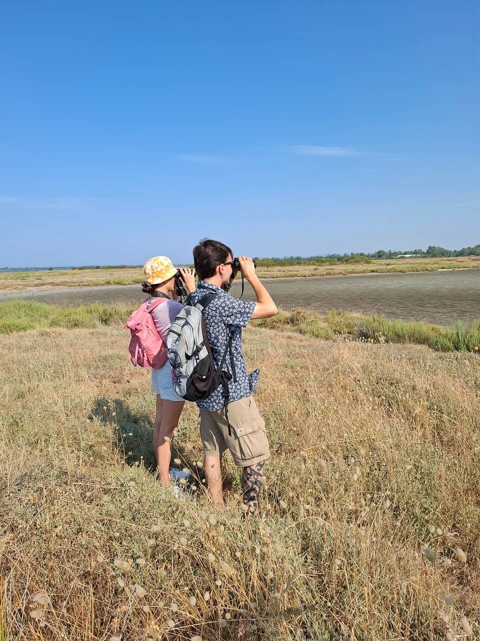 Sacred Forests of Sasso Fratino