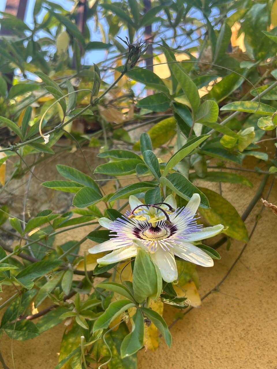 Art-Filled Museum Rooms