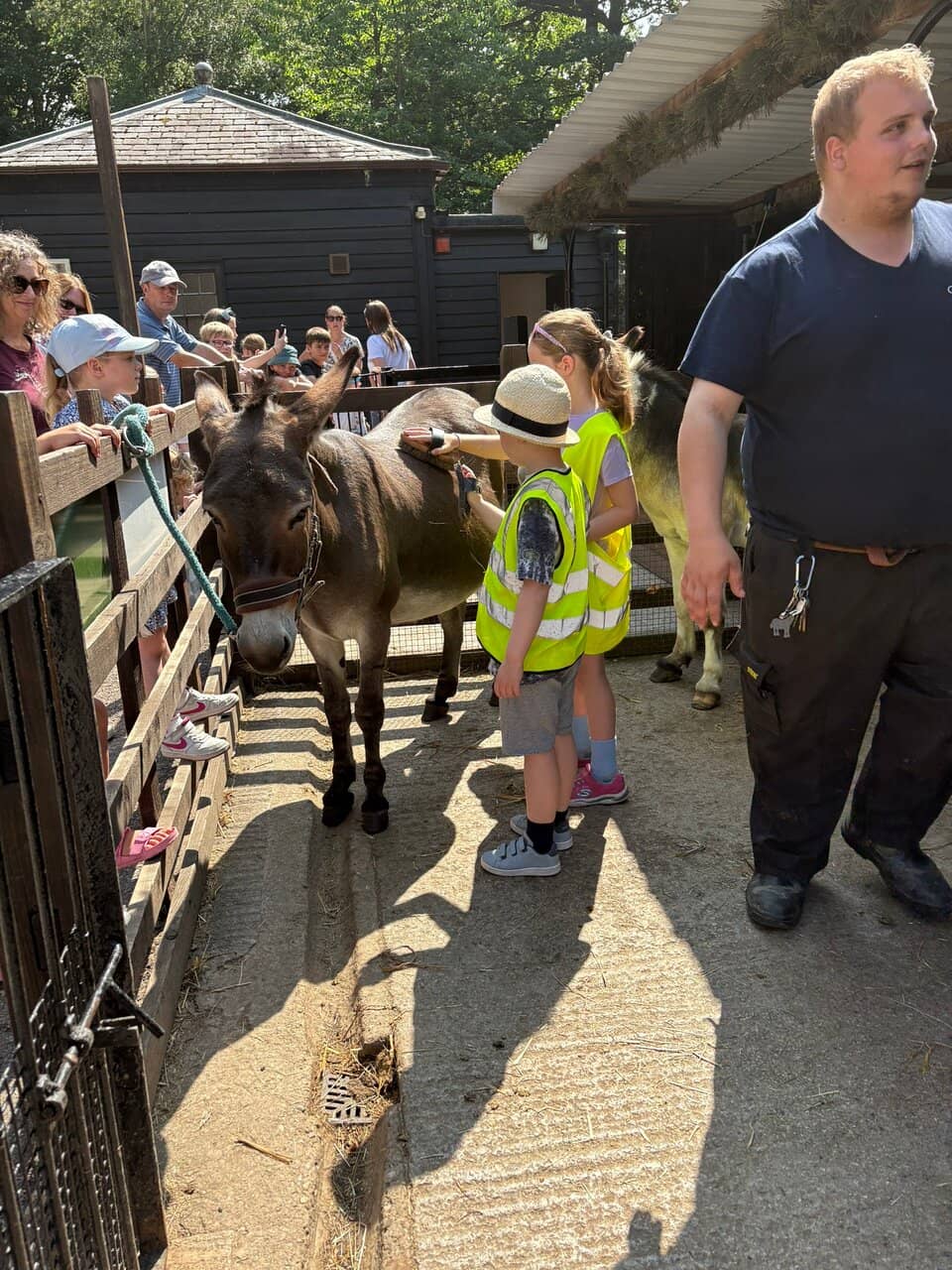 Interactive Farmyard