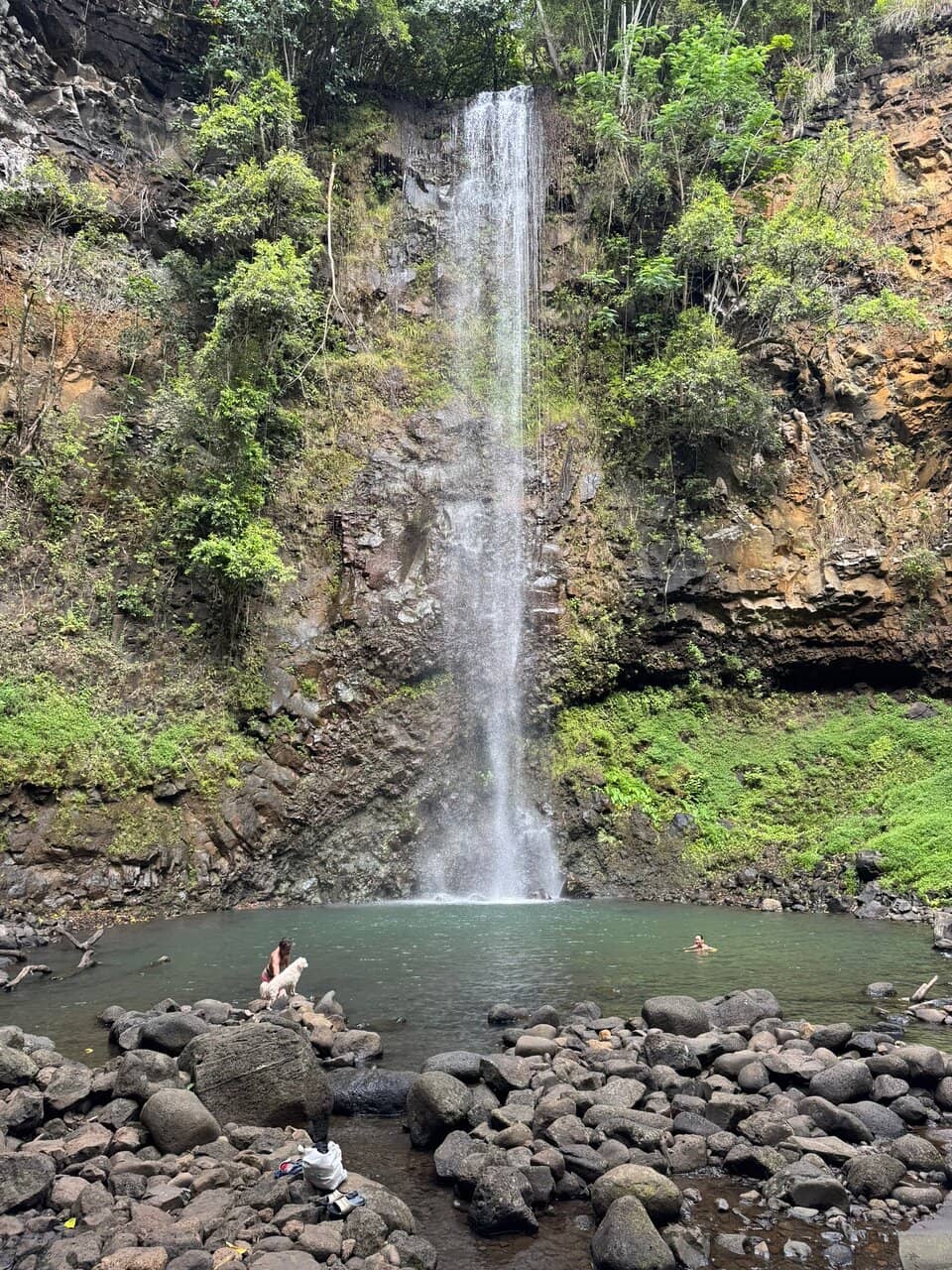 Wailua River Kayaking