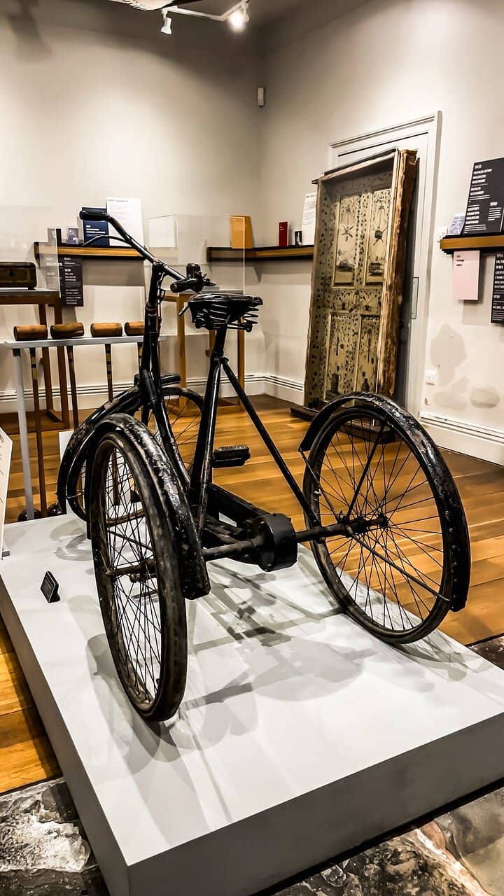 Ancient Woodland Trails