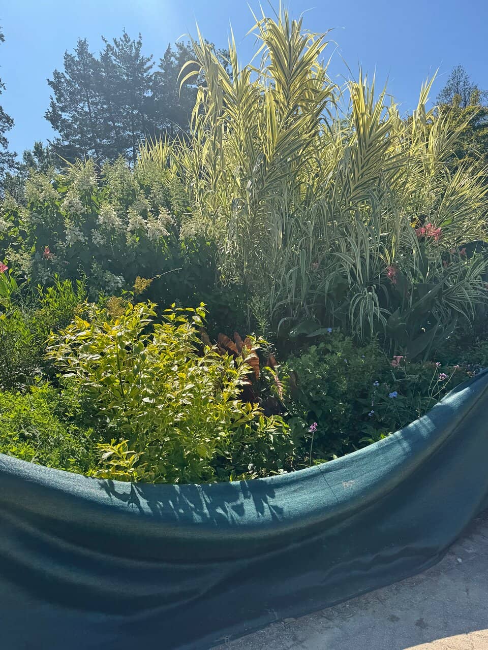 Historic Plantation House