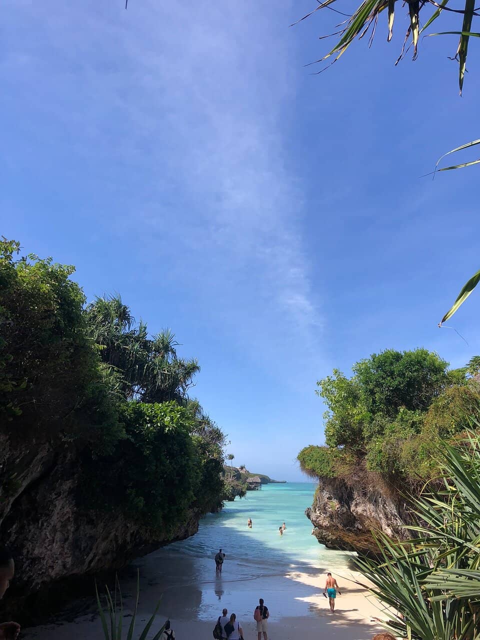 Rocky Edges and Marine Life