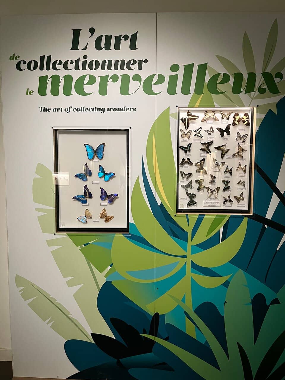 Butterfly Greenhouse