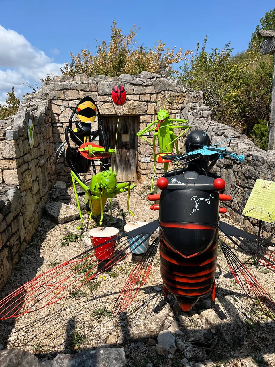 Carnivorous Plant Collection