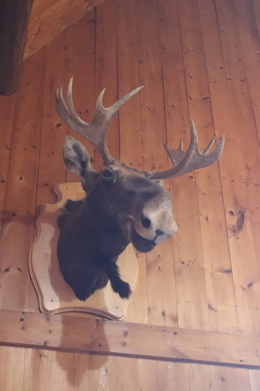 Reconstructed Trading Post