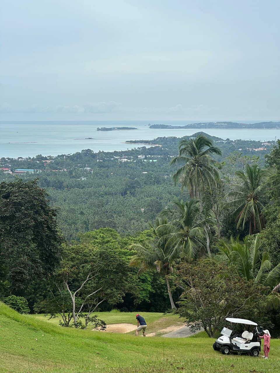 Lush Tropical Greenery