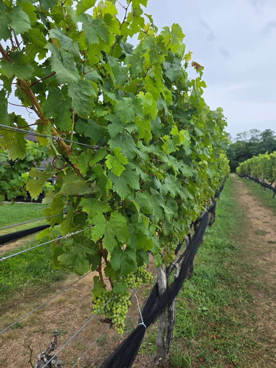 Historic 1830s Farmhouse