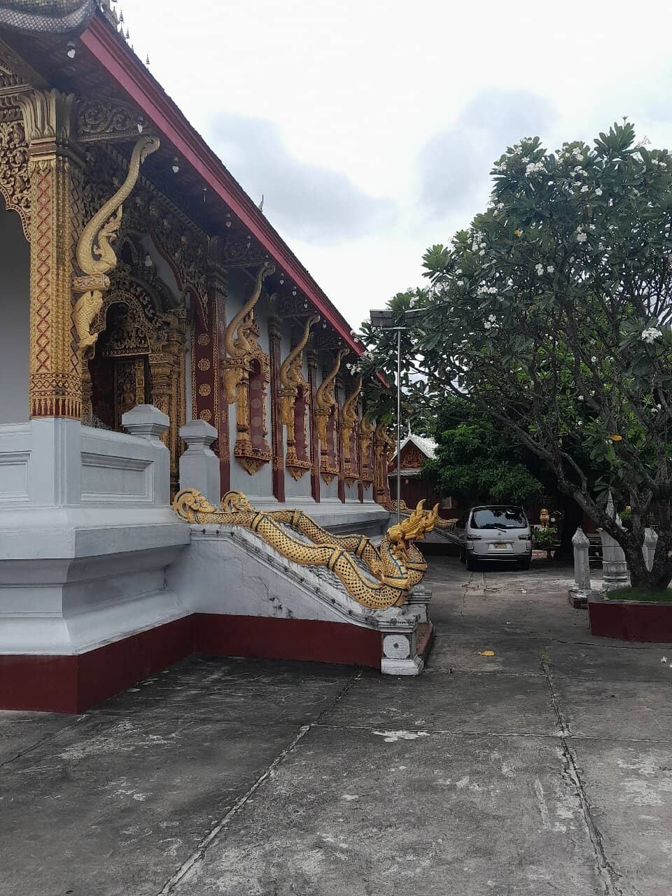 Blooming Garden Ambiance