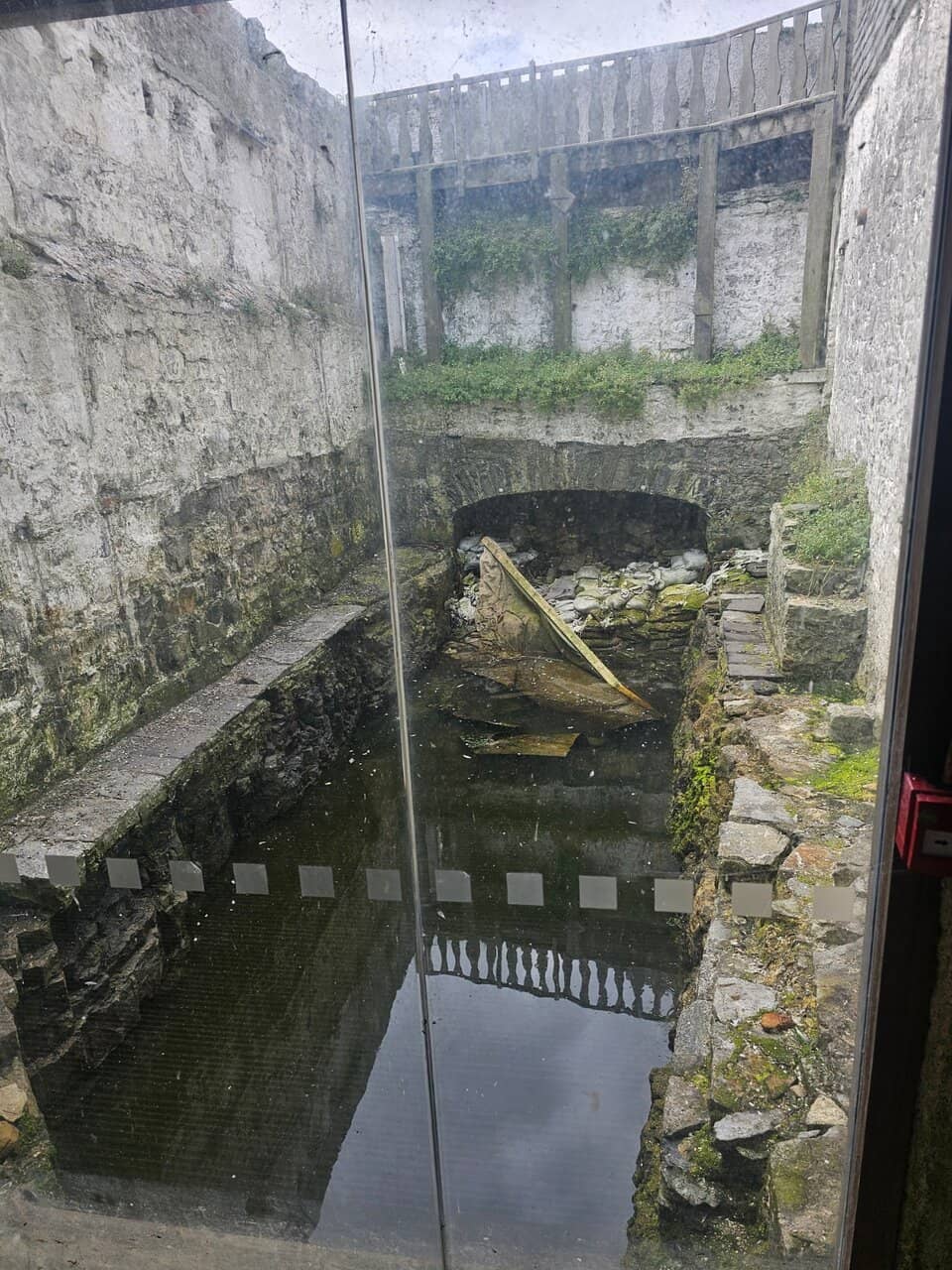 Enthusiastic Guided Tours