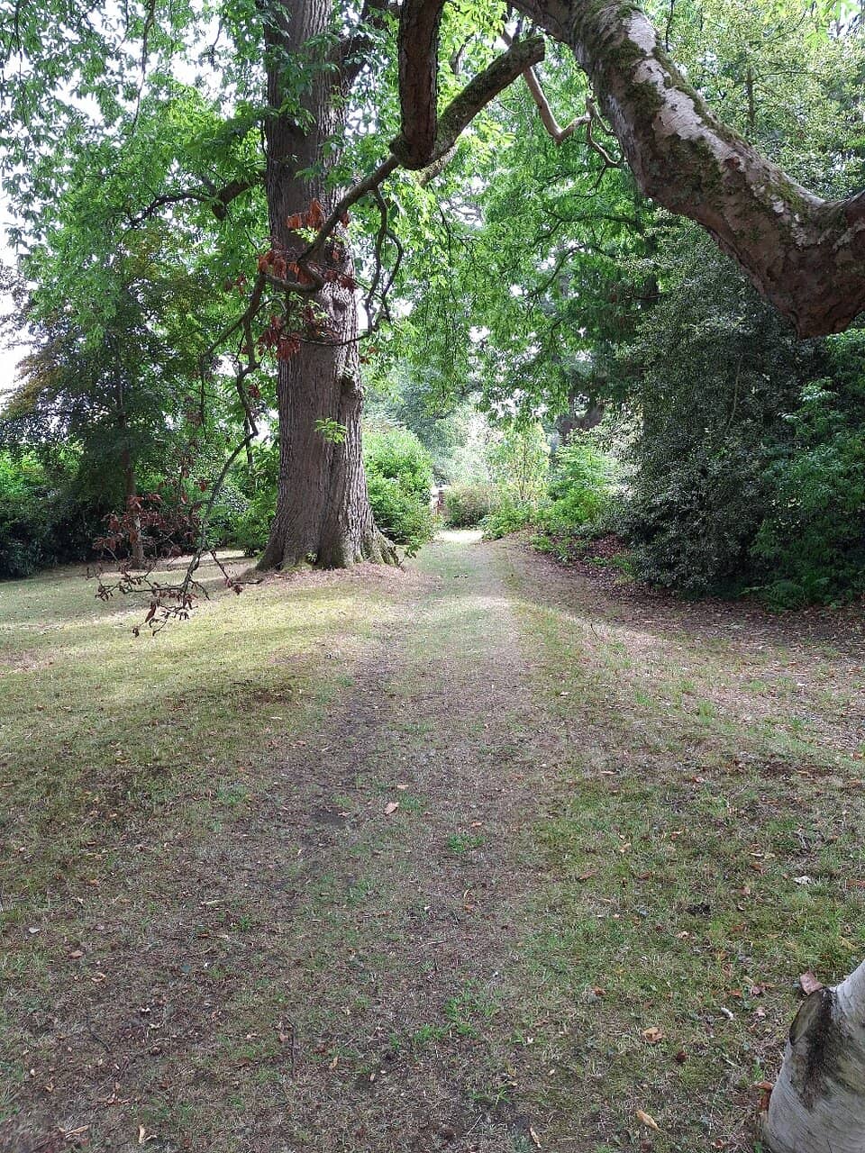 Charming Woodland Walks