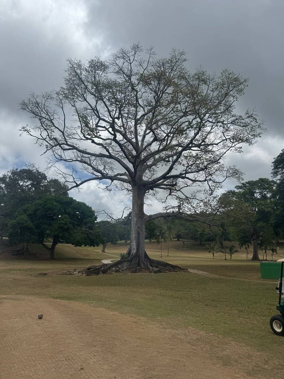 Complimentary Greens Fees