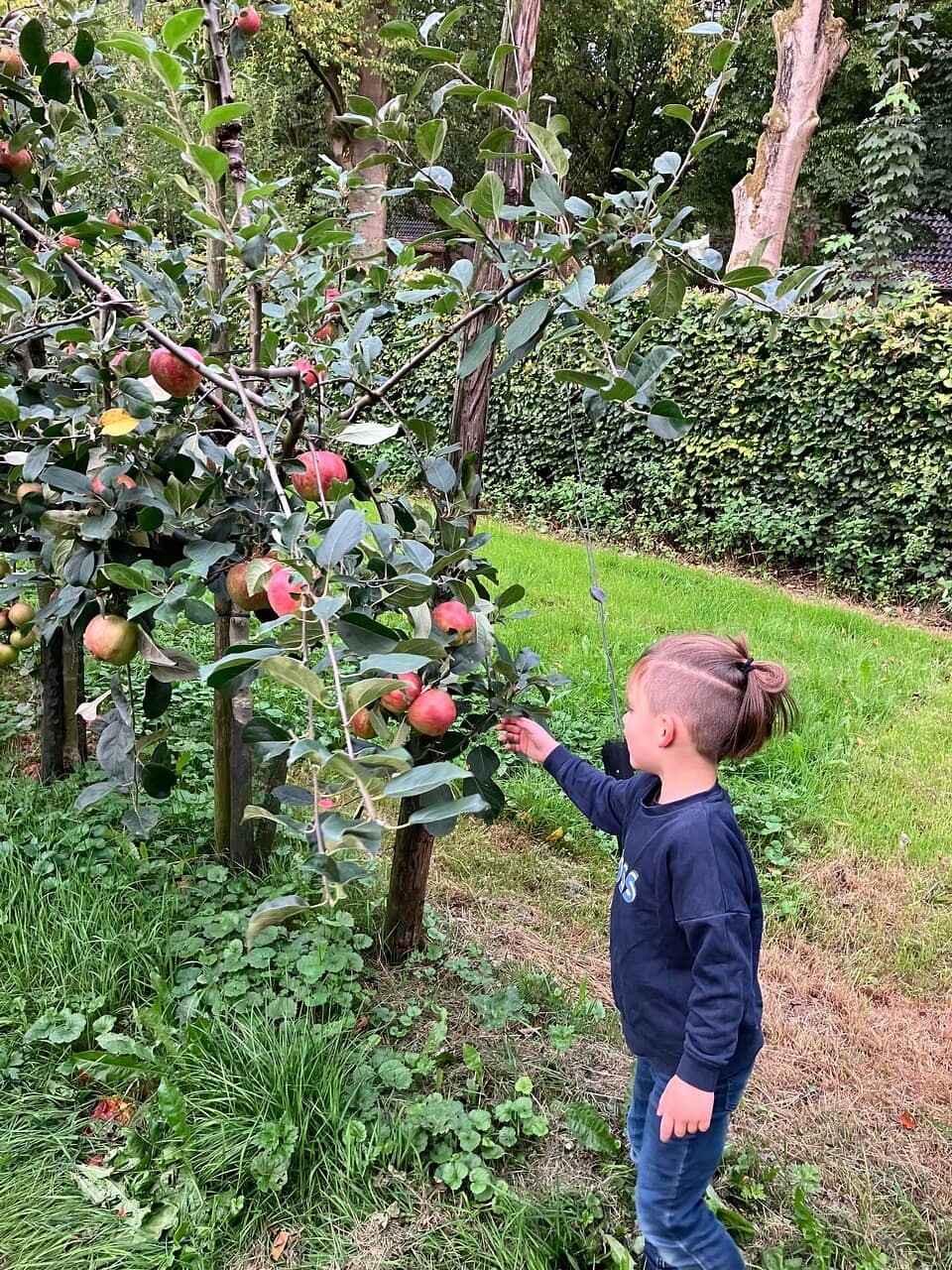 Pannenkoekenrestaurant De Proeftuin