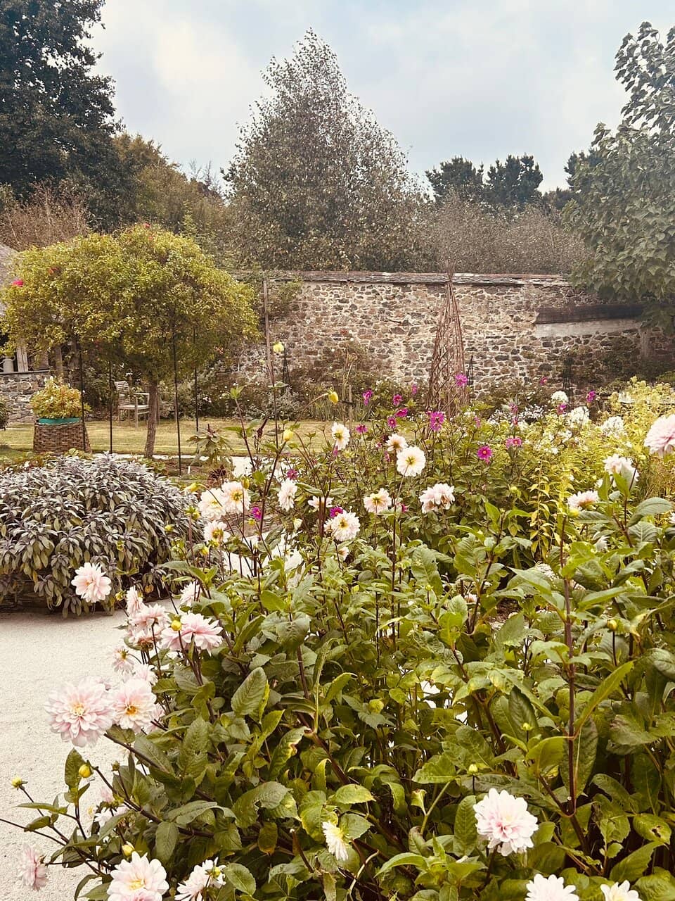 Sculpted Yew 'Chapel'