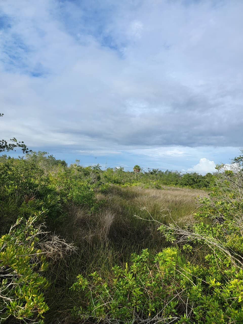 Abundant Wildlife Sightings