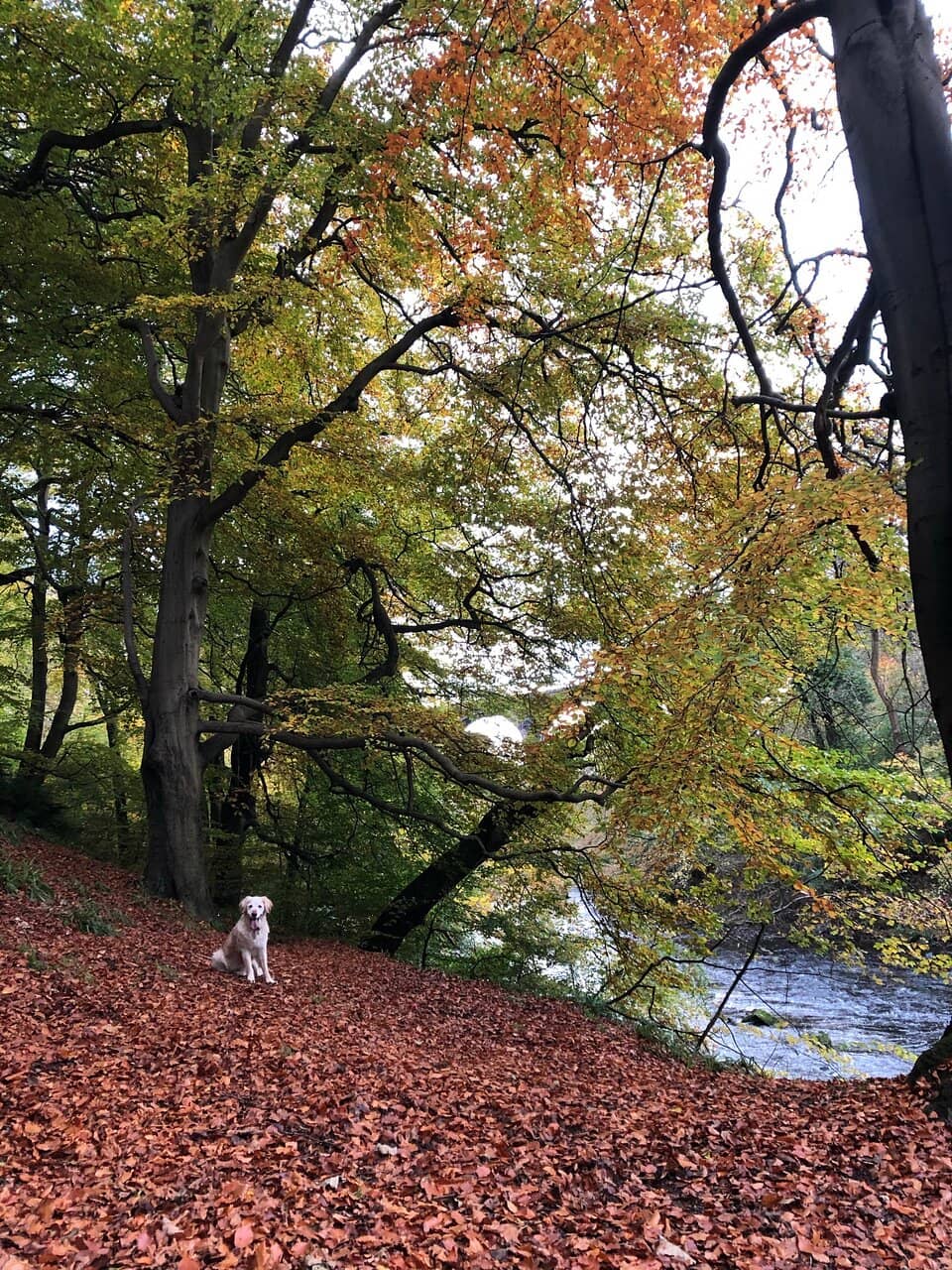 River Almond Trails
